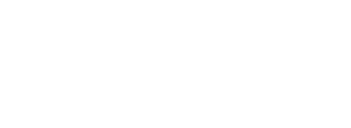 Loyalty First Realty LLC
